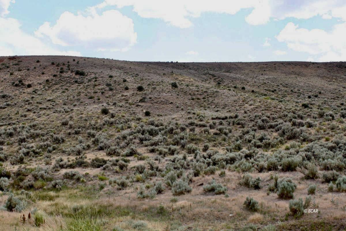 5th Street Property Photo 9