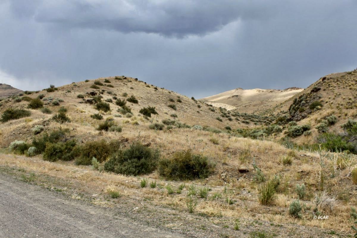 5th Street Property Photo 12