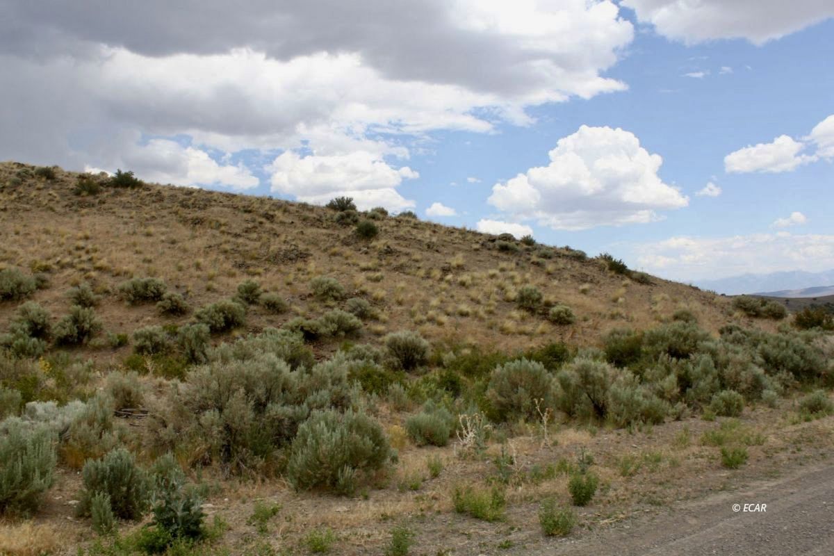 5th Street Property Photo 13