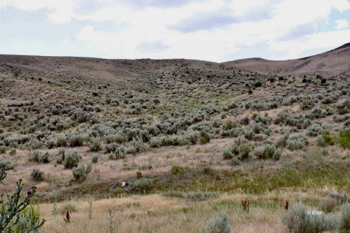 5th Street Property Photo 14