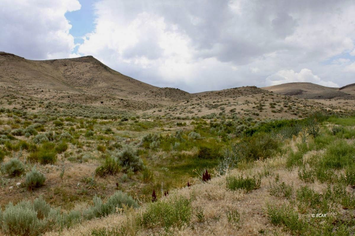 5th Street Property Photo 16