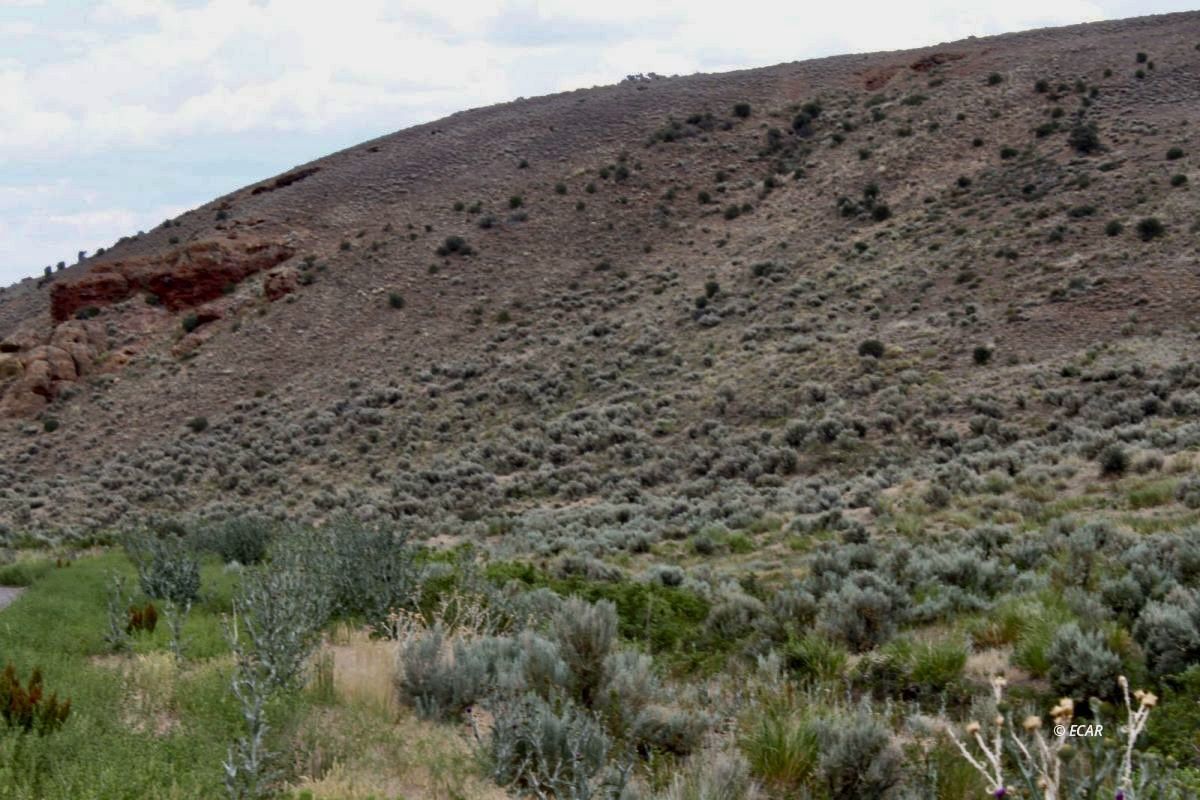 5th Street Property Photo 17