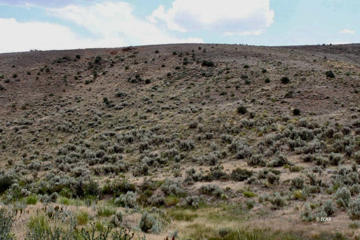 5th Street Property Photo 18