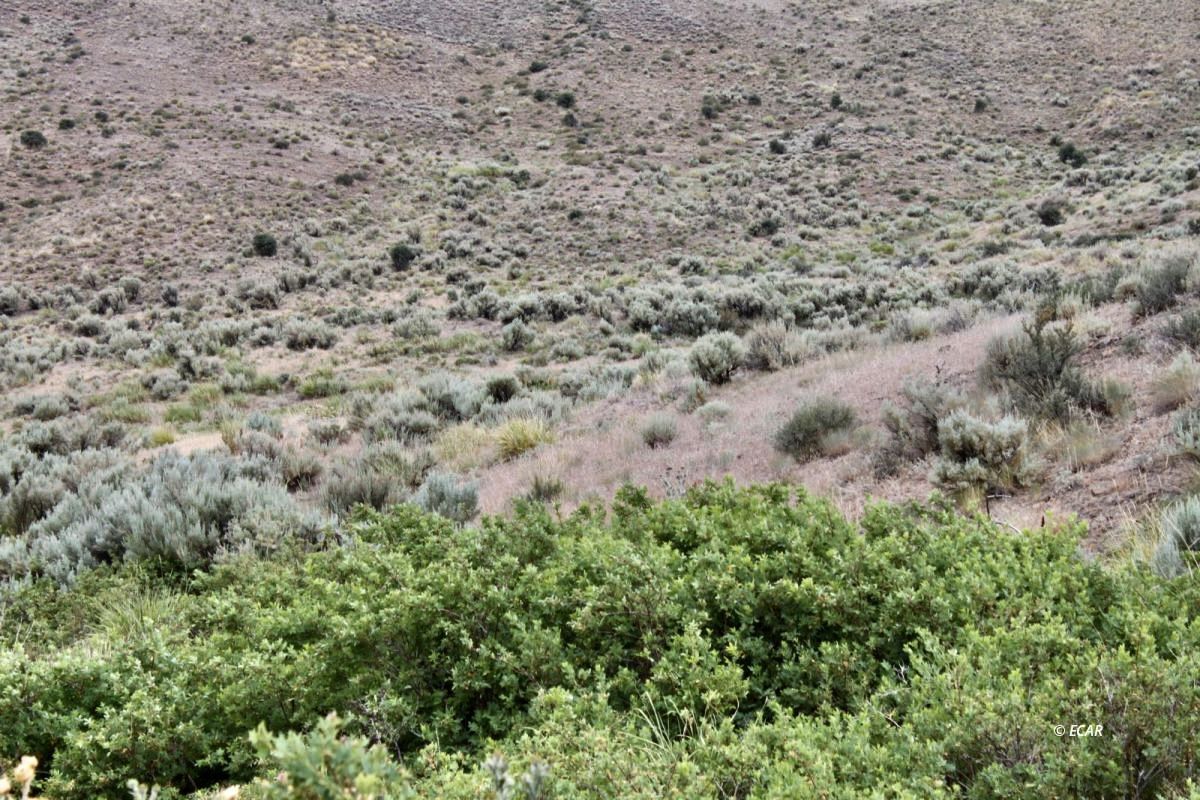 5th Street Property Photo 19