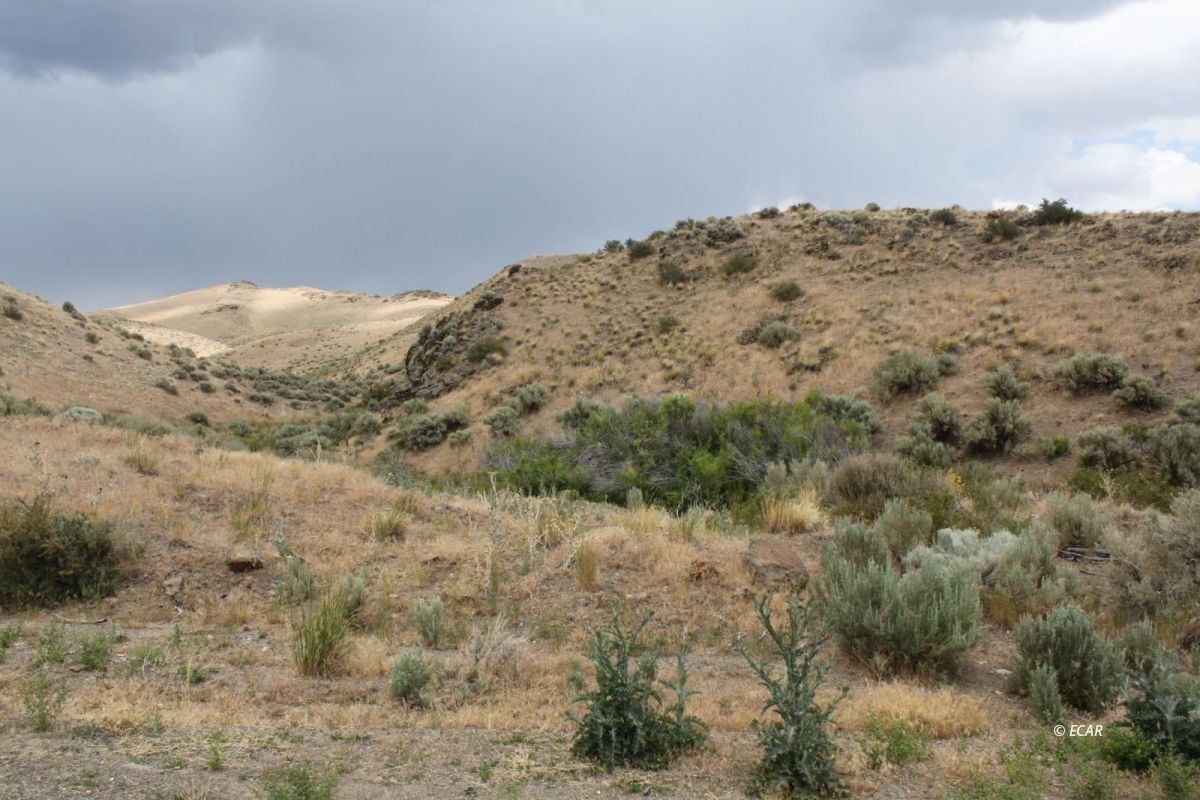 5th Street Property Photo 20