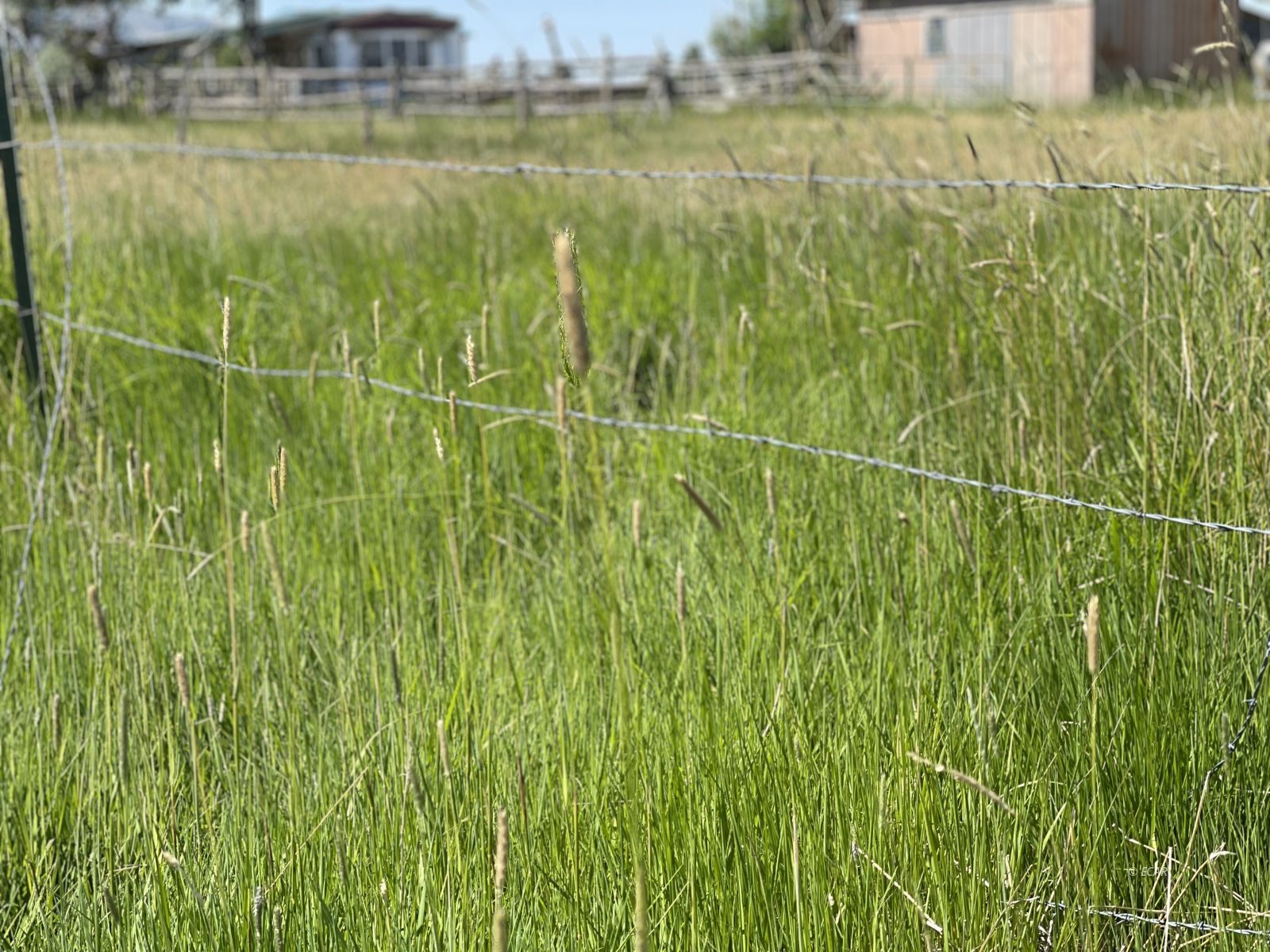 2623 N Canyon Road Property Photo 5