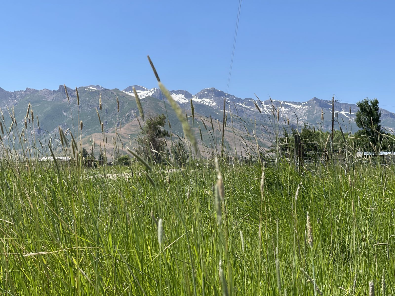 2623 N Canyon Road Property Photo 7