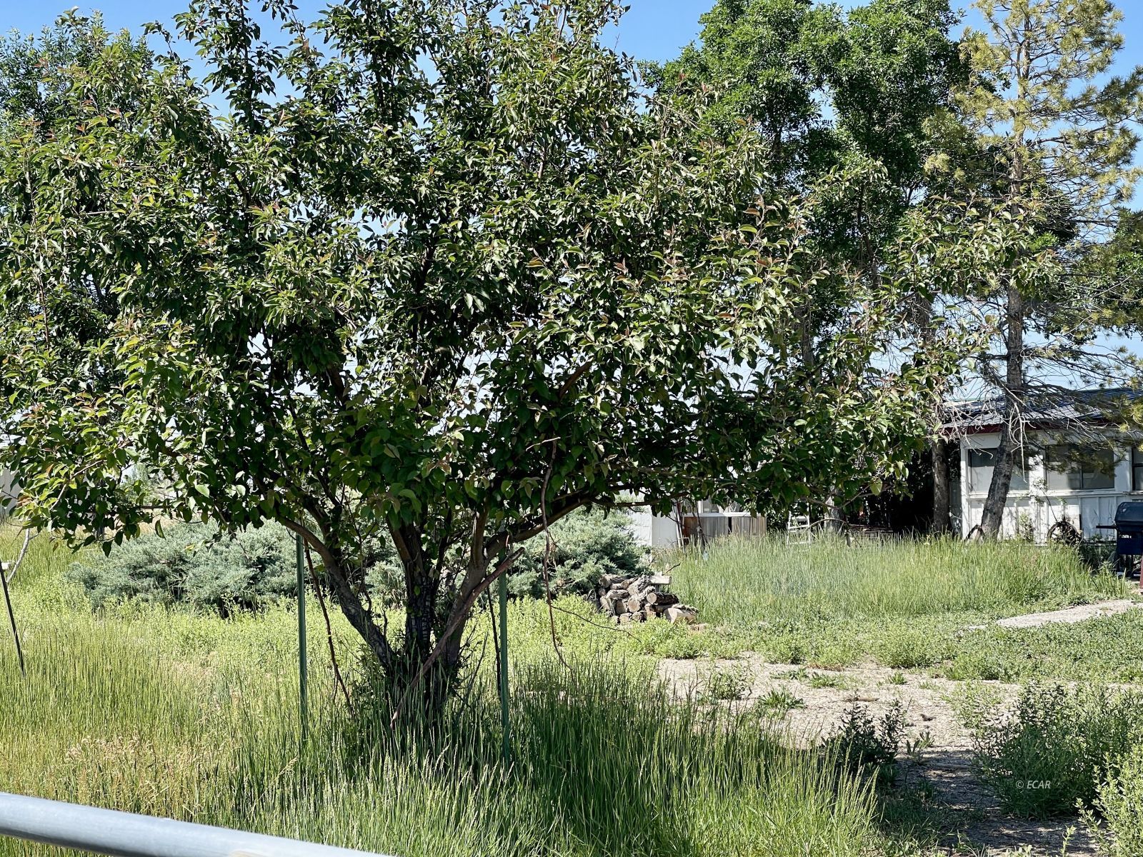 2623 N Canyon Road Property Photo 16