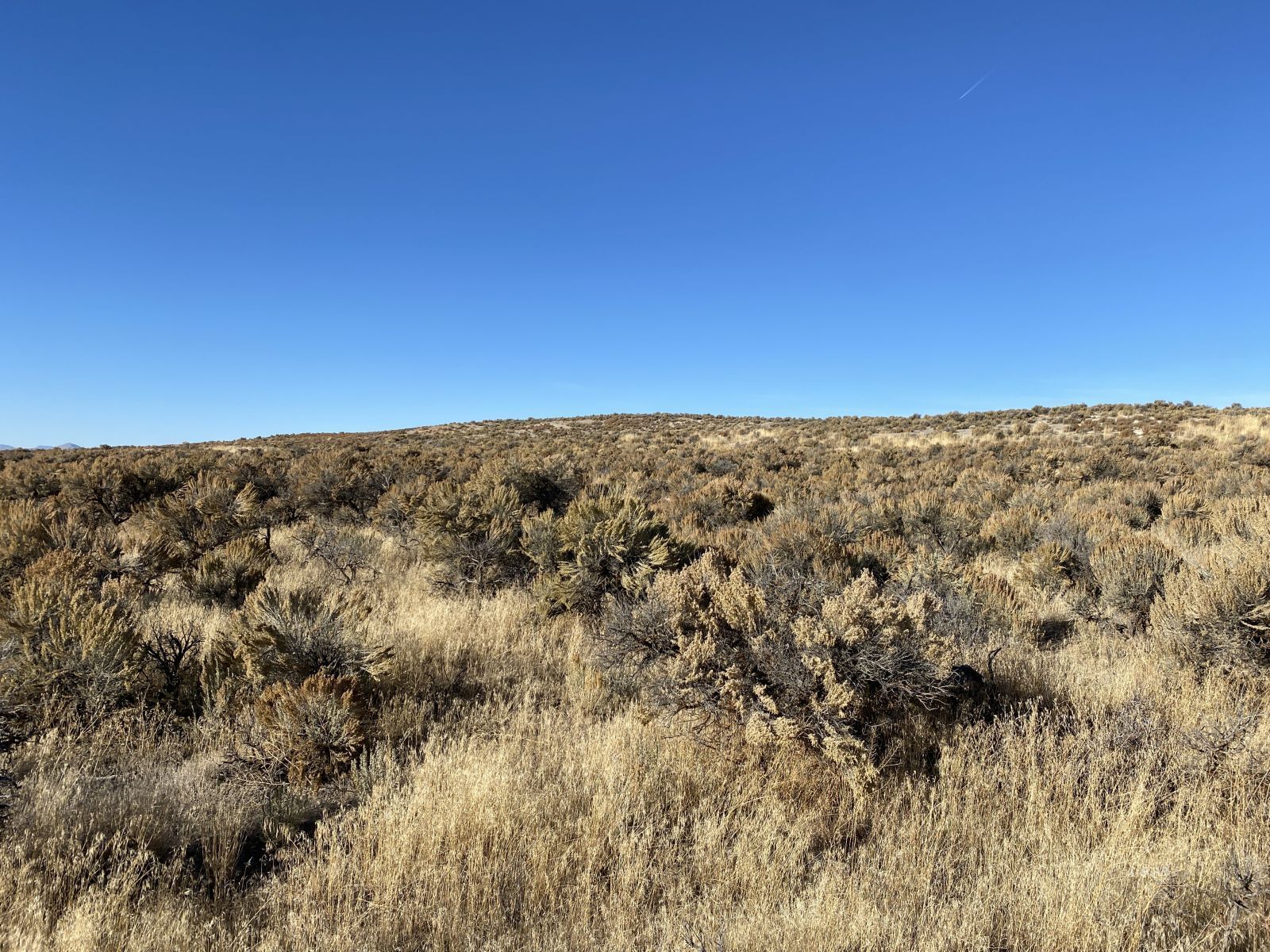 Chugach Street Property Photo