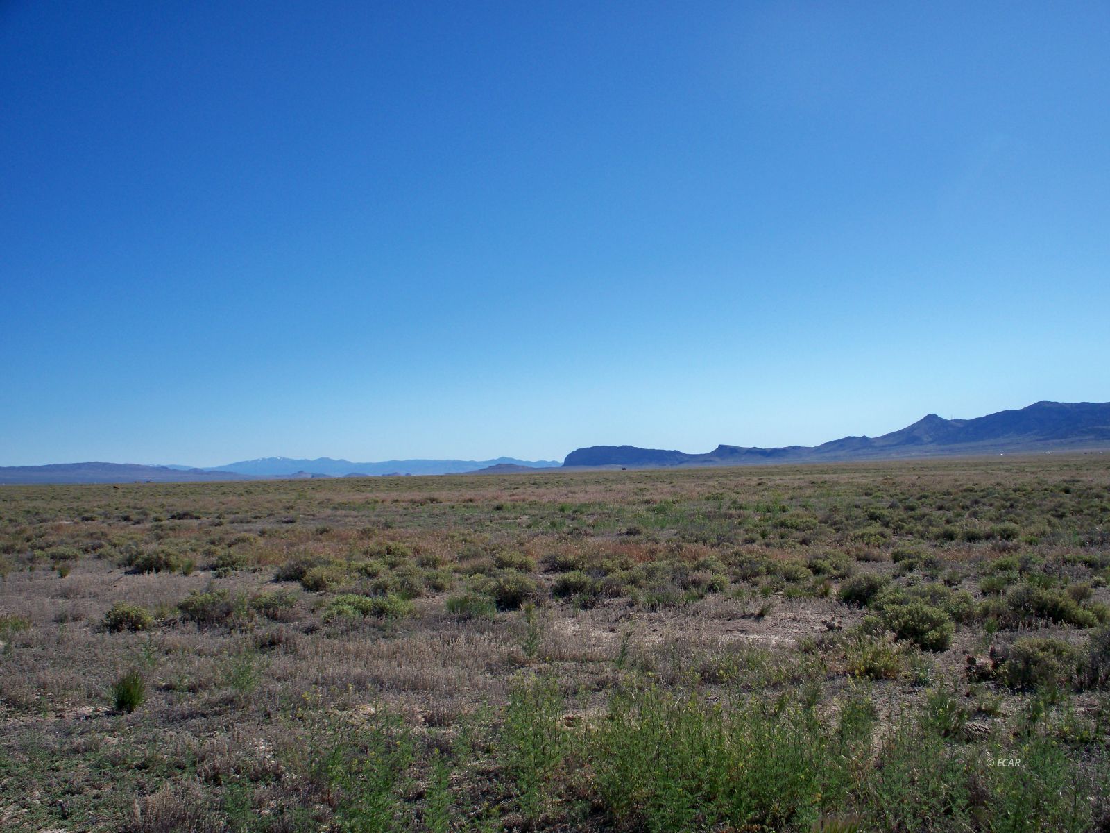 Tbd Parcel Property Photo 3