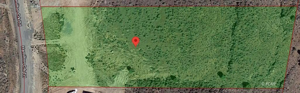 Hamilton Creek Trail Property Photo 5