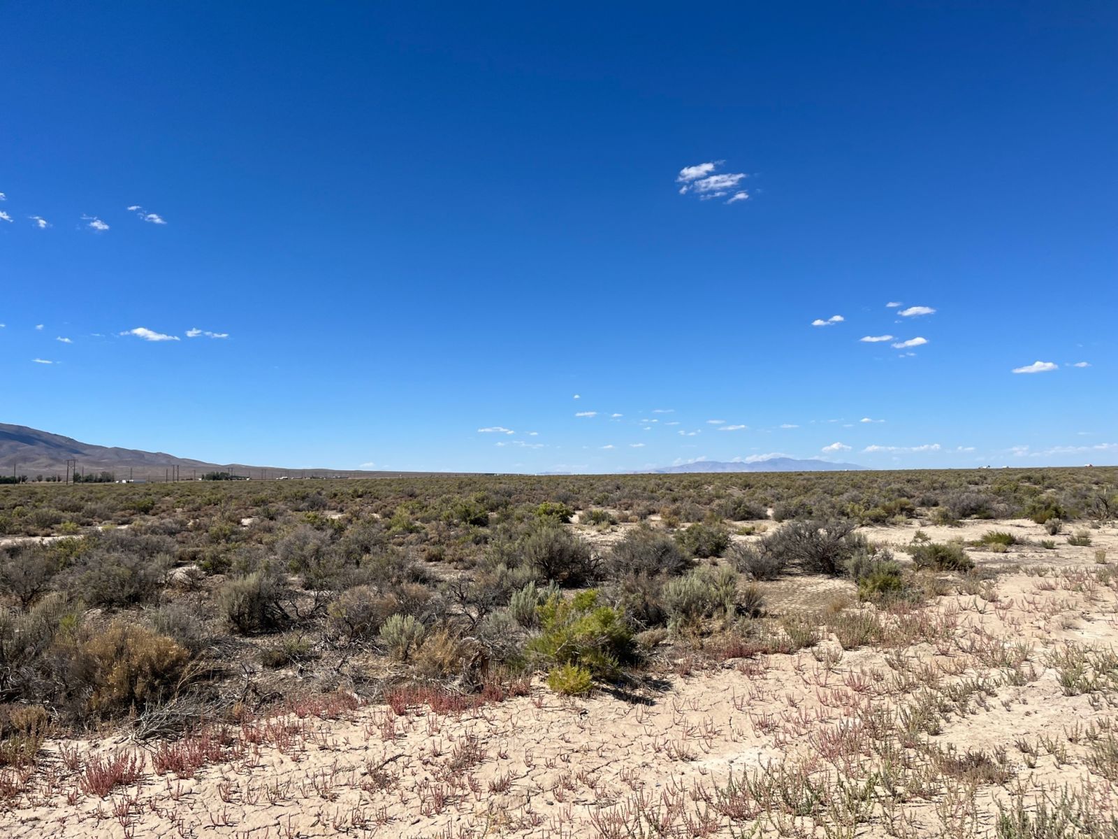 Tbd Allen Road Property Photo 5