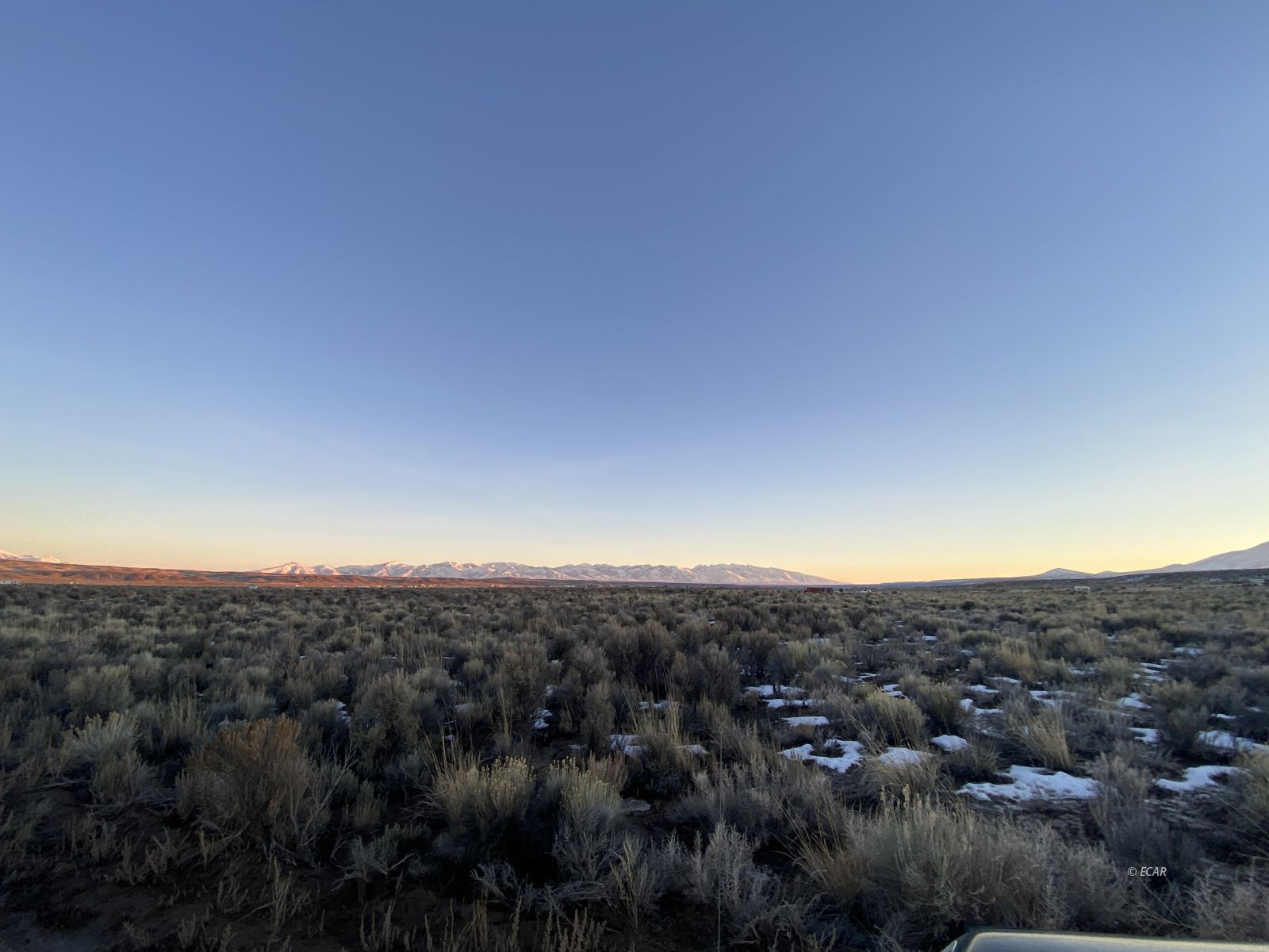 7535 Kings River Boulevard Property Photo 5