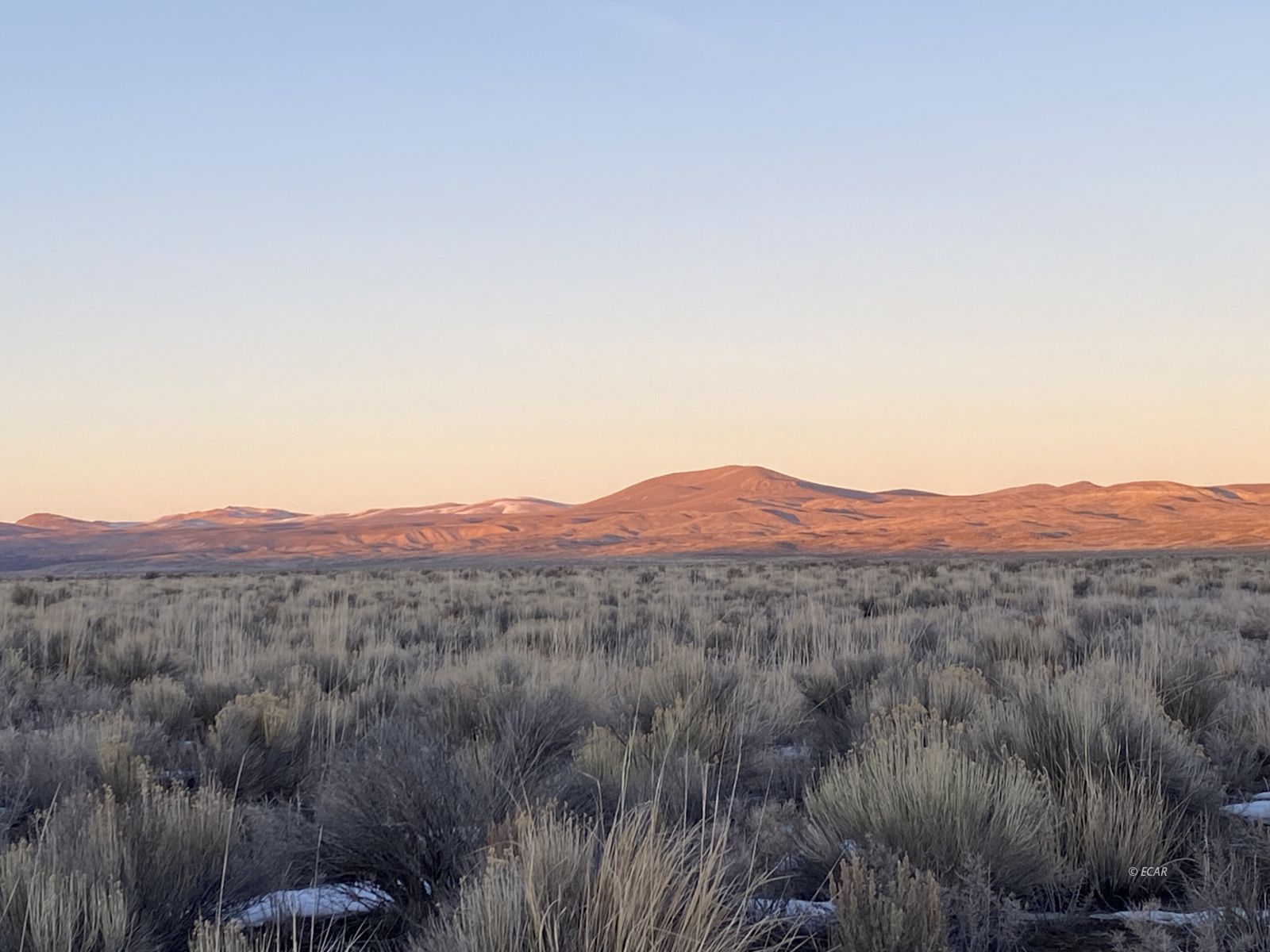 7527 White River Boulevard Property Photo 4