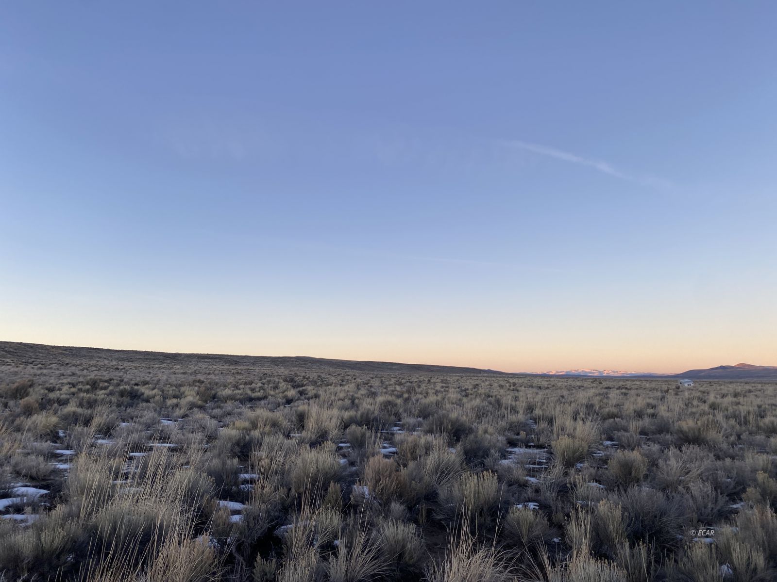 7527 White River Boulevard Property Photo 11