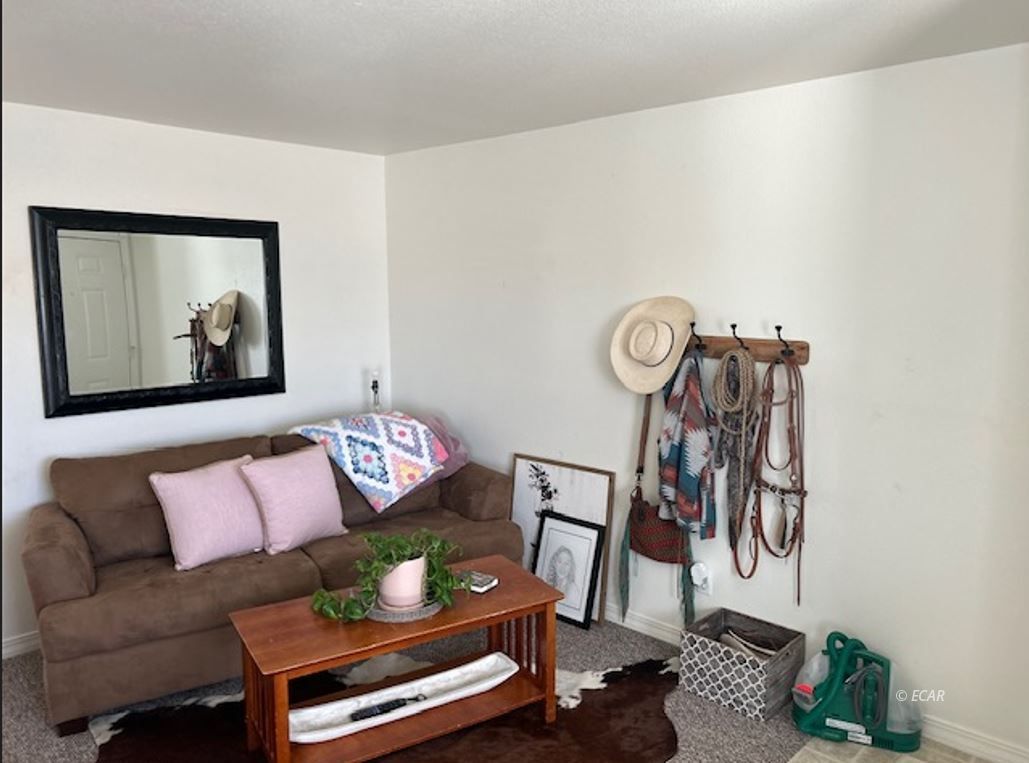 707 Ventosa Way Property Photo 3