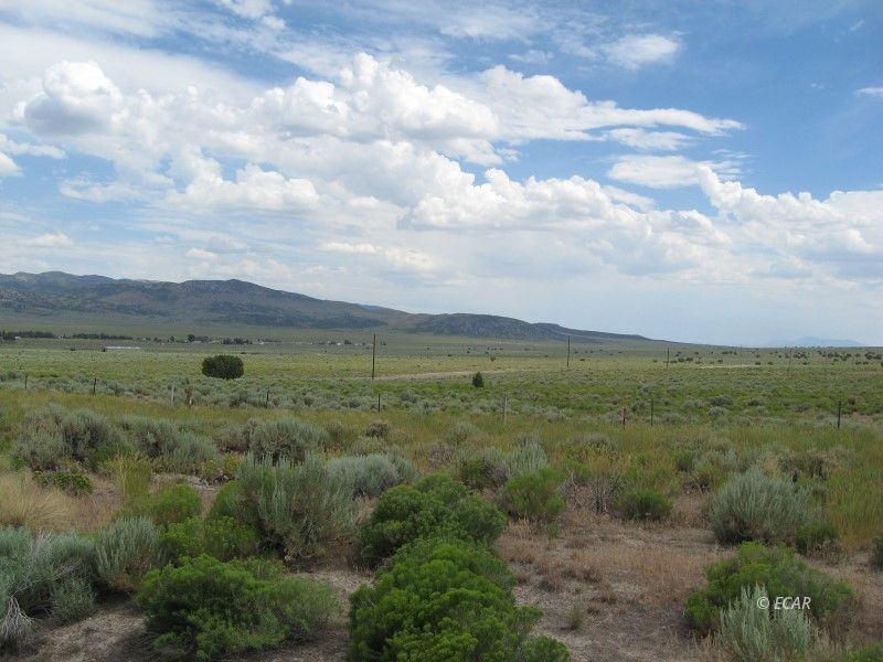 Tbd Angel Lake Road Property Photo 6