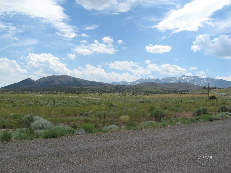Tbd Angel Lake Road Property Photo 5