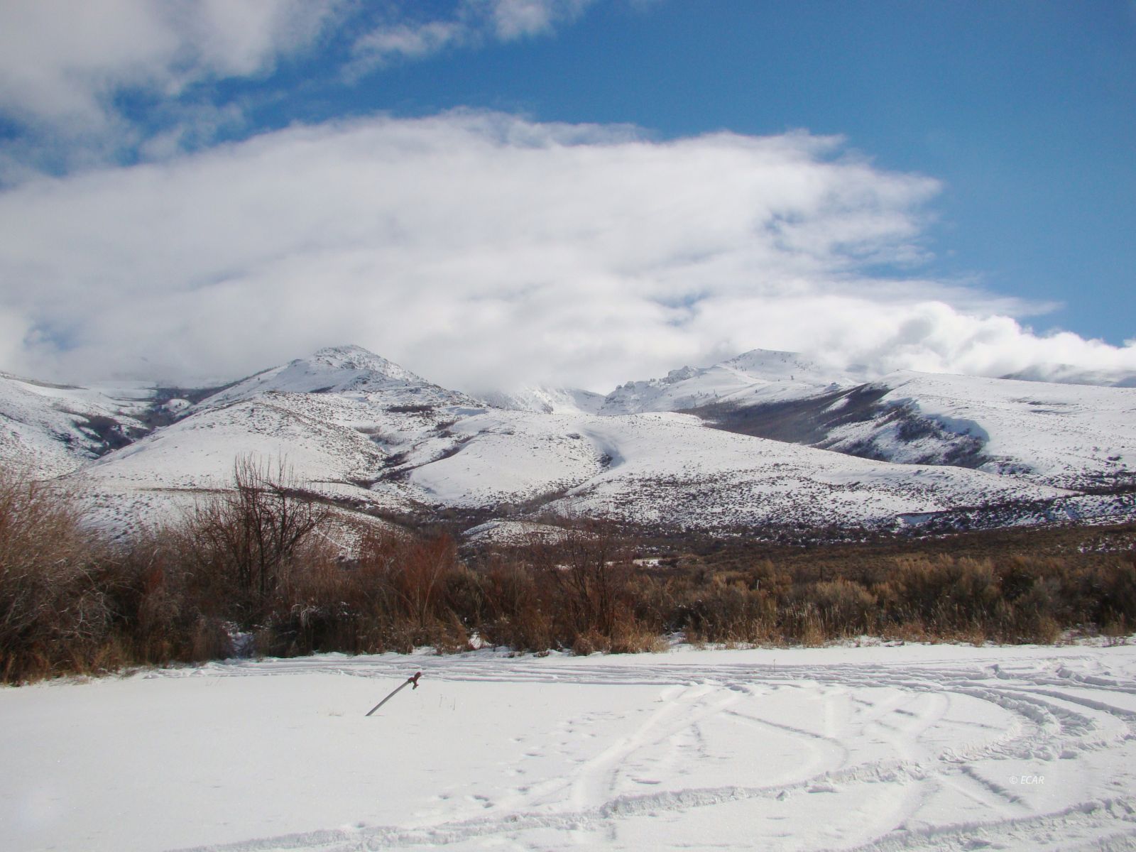 4831 Starr Valley Road Property Photo 2