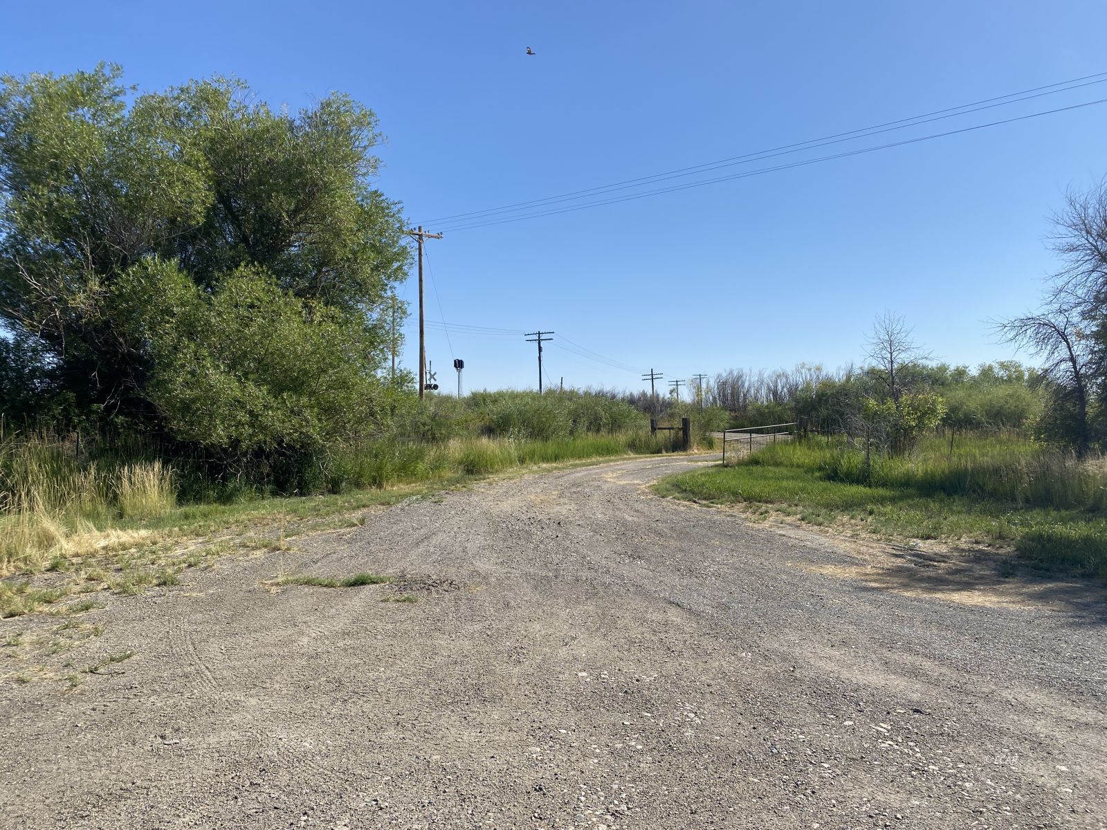 450 Starr Lane Property Photo 3