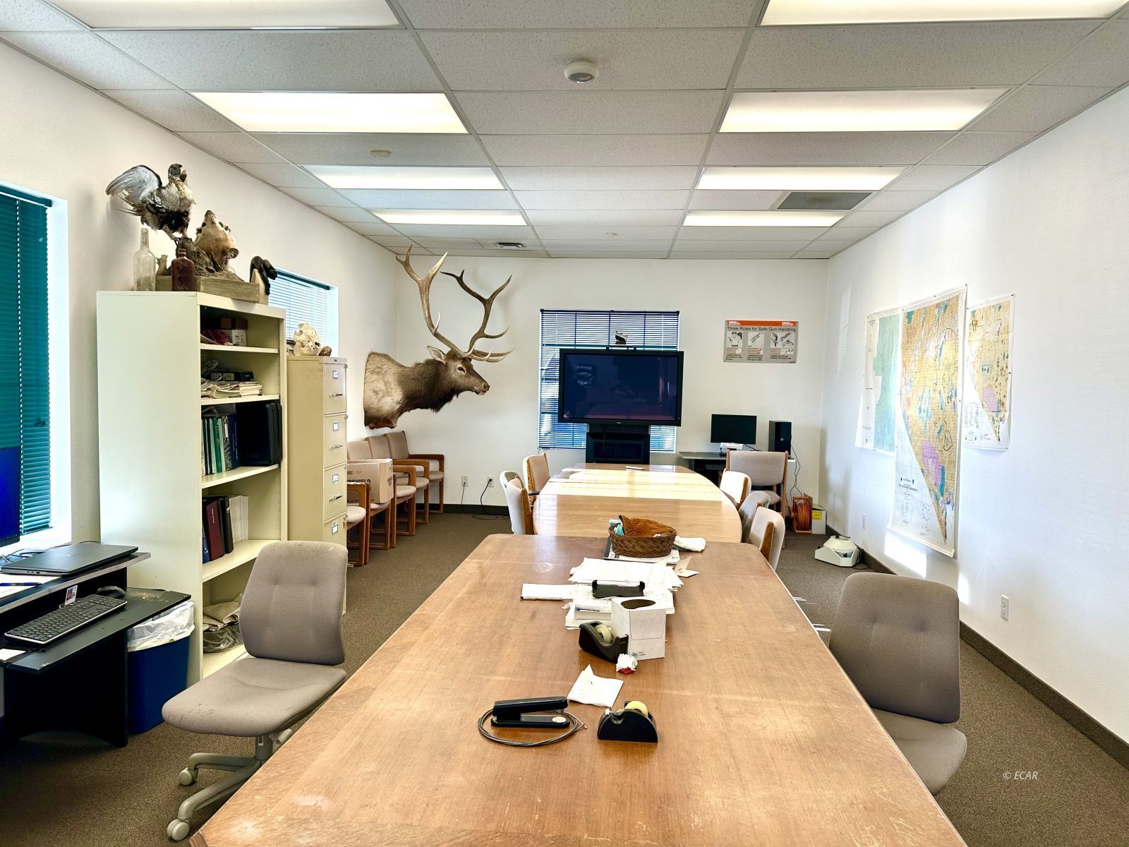 1245 Alpha Street Property Photo 17