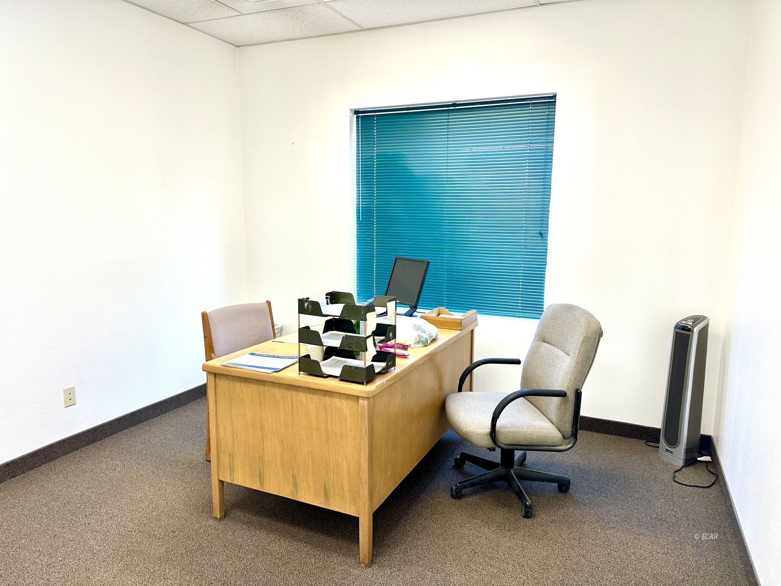 1245 Alpha Street Property Photo 22