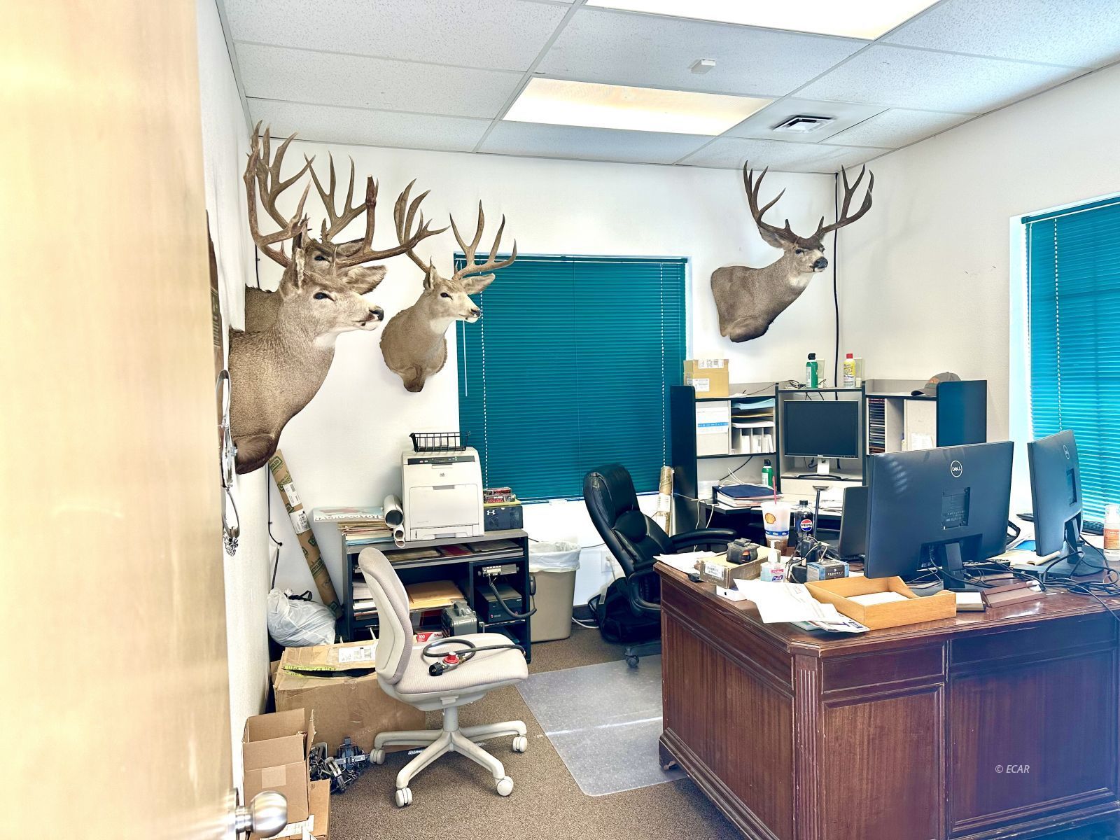 1245 Alpha Street Property Photo 23