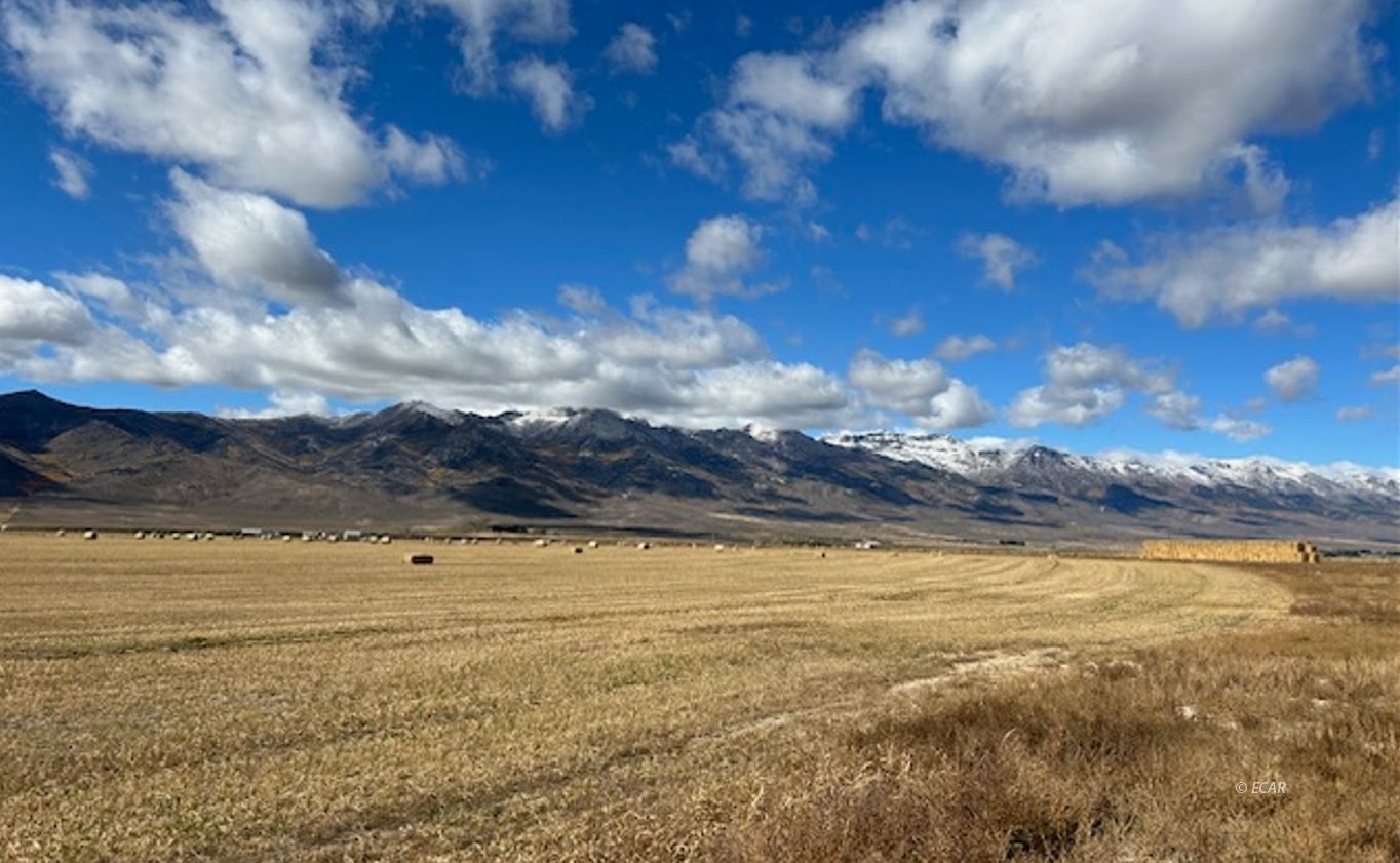 3551 S Us Hwy 93 Highway Property Photo 13
