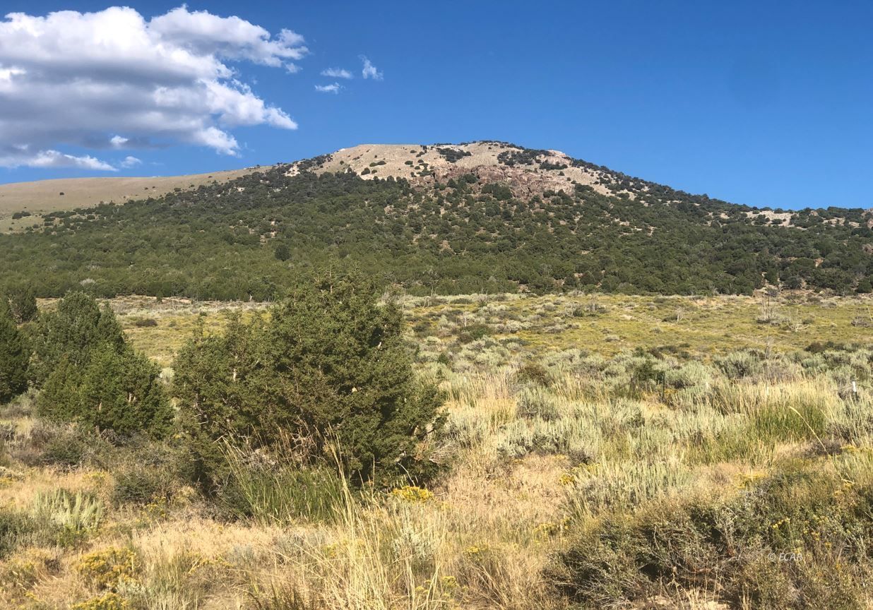 Angle Lake Road Road Property Photo