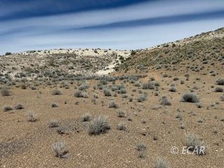 2350 Khoury Lane Property Photo 2
