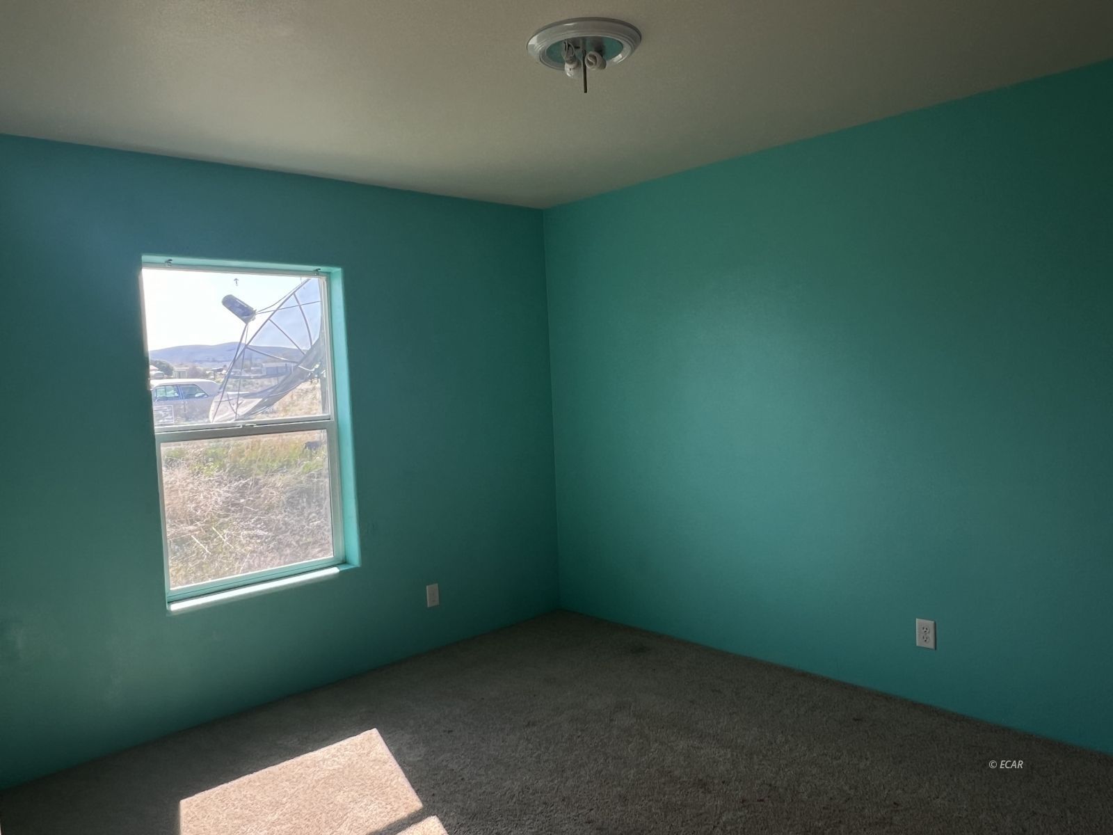 377 Berry Creek Place Property Photo 13