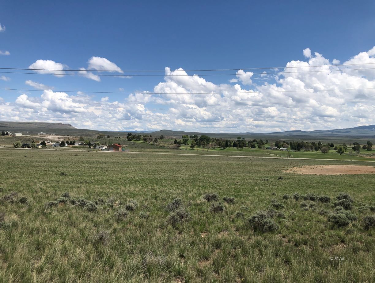 Pinochile West Property Photo 3