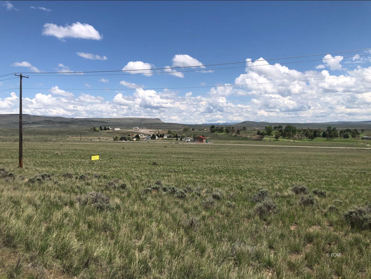 Pinochile West Property Photo 4