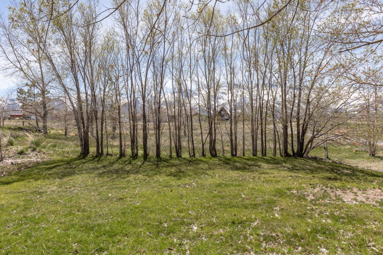 964 Wolf Creek Circle Property Photo 3