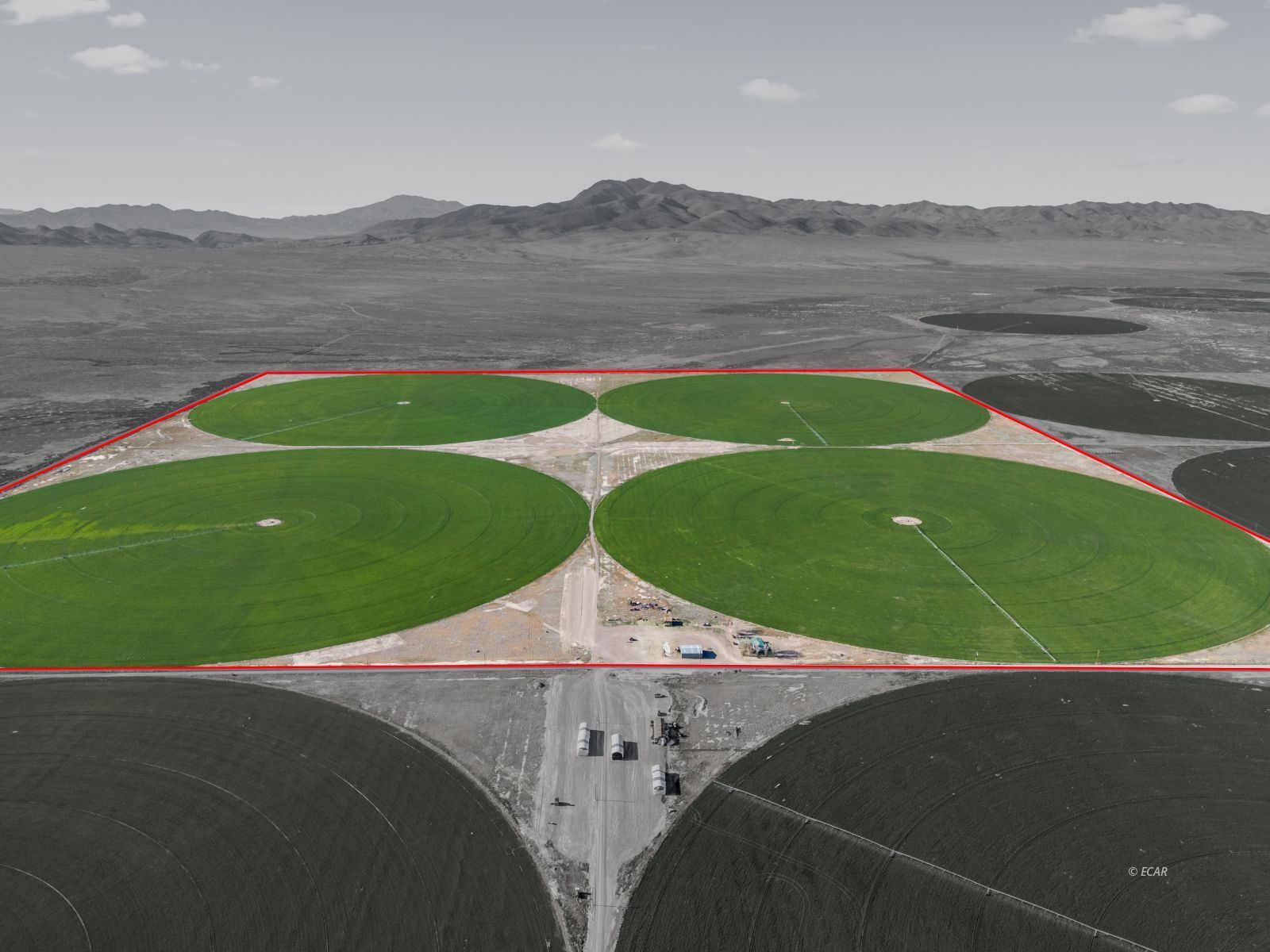 10105 Brides Well Road Property Photo 1