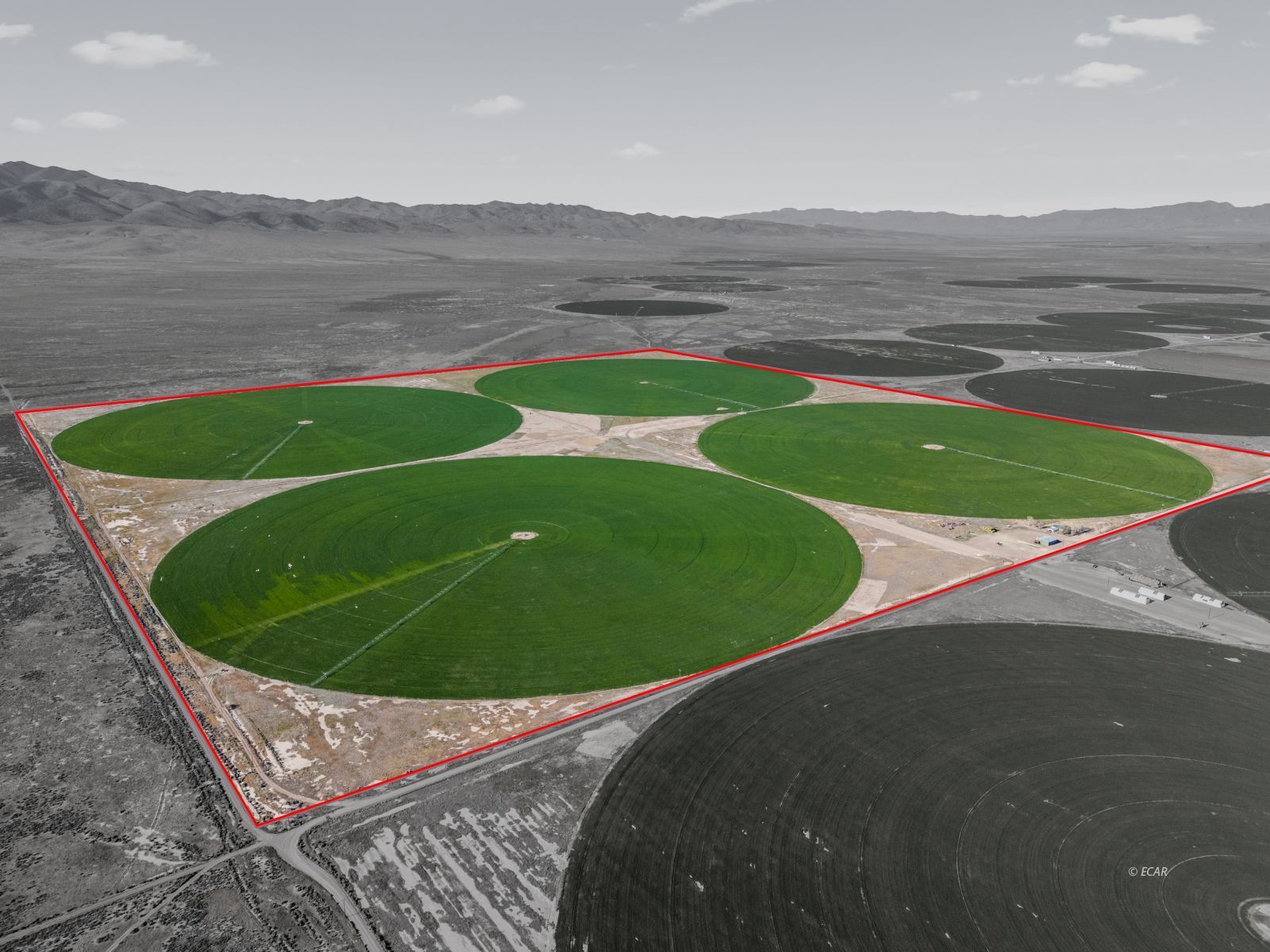 10105 Brides Well Road Property Photo 2