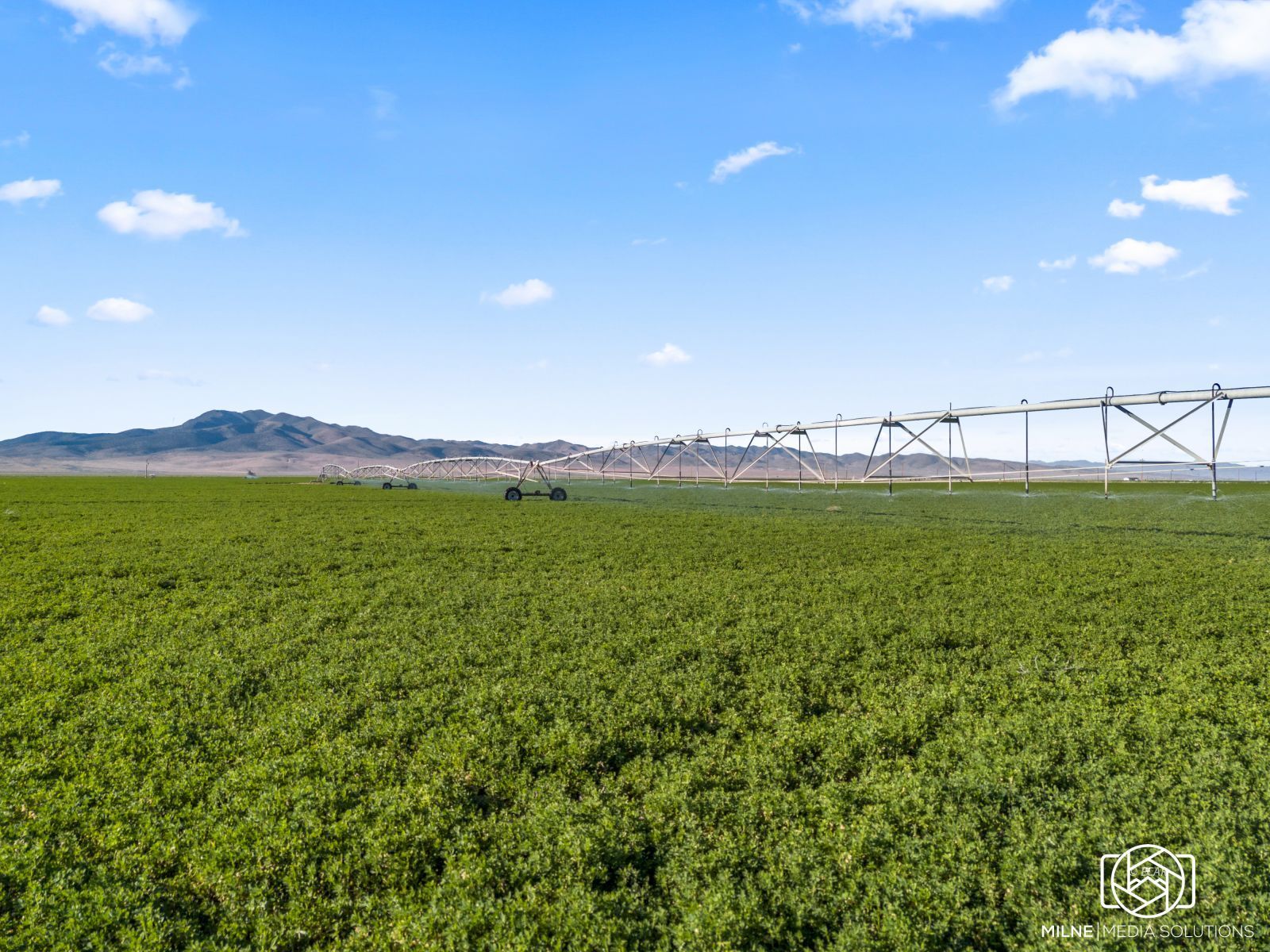 10105 Brides Well Road Property Photo 3