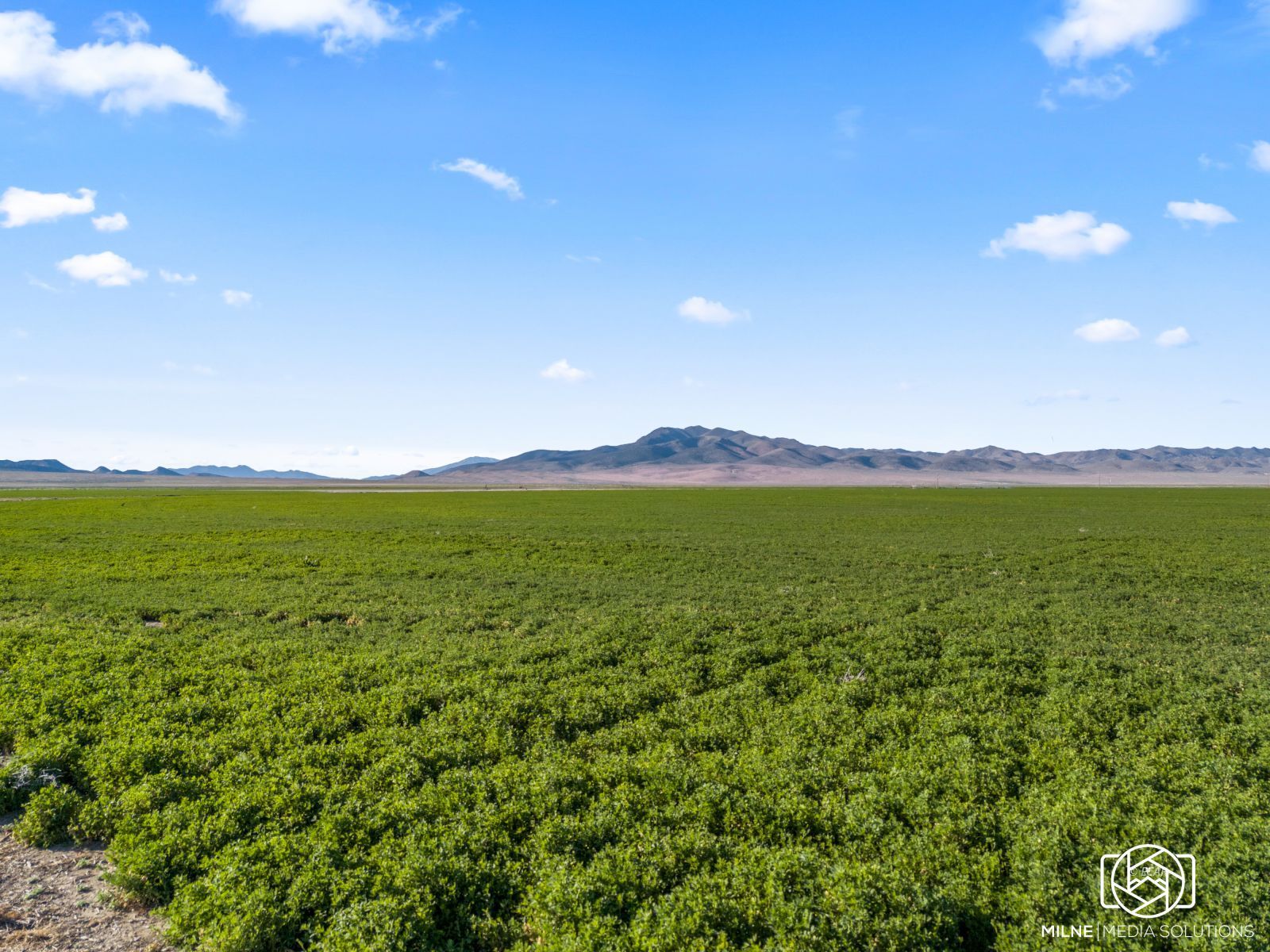 10105 Brides Well Road Property Photo 4