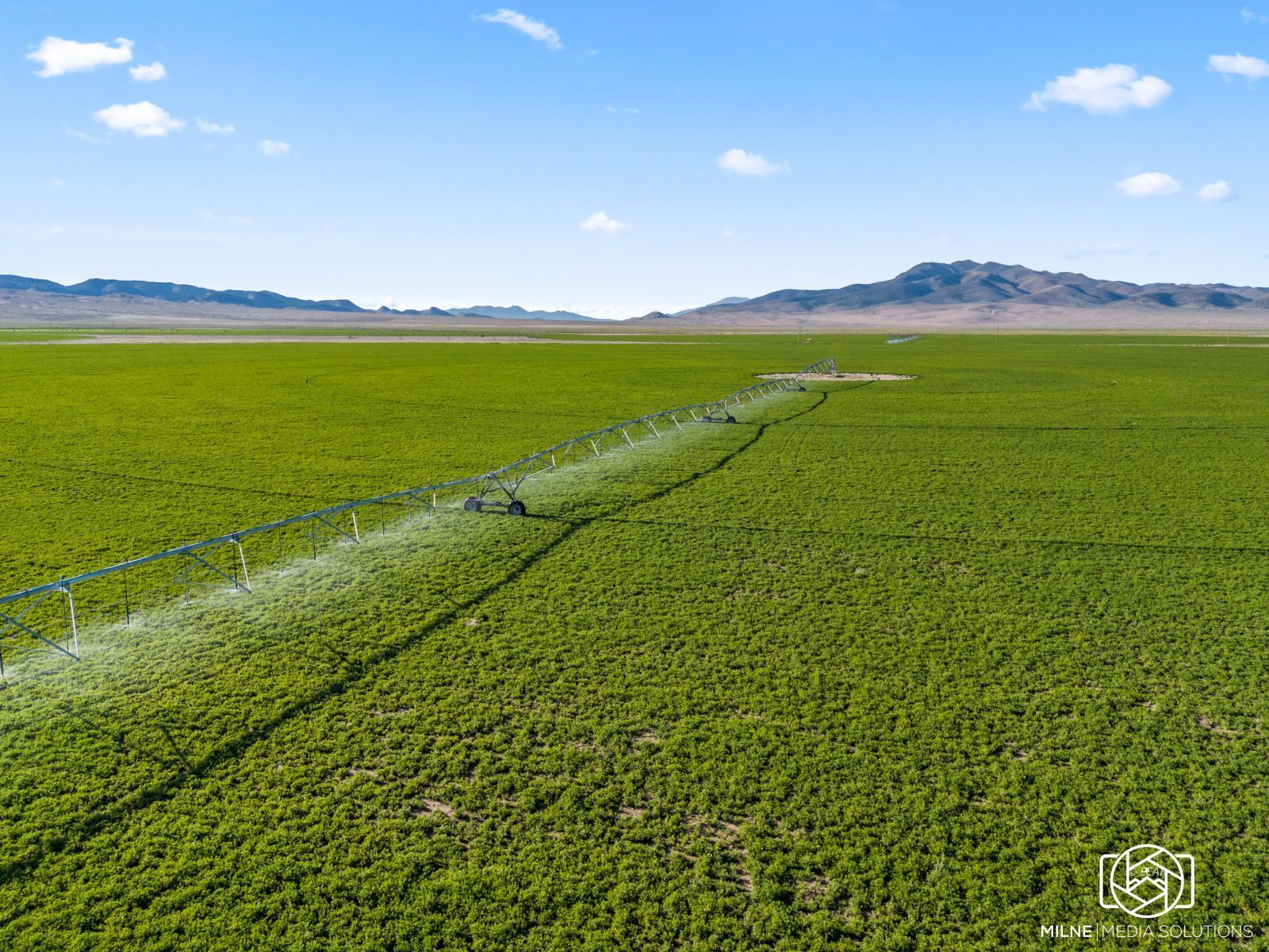 10105 Brides Well Road Property Photo 5