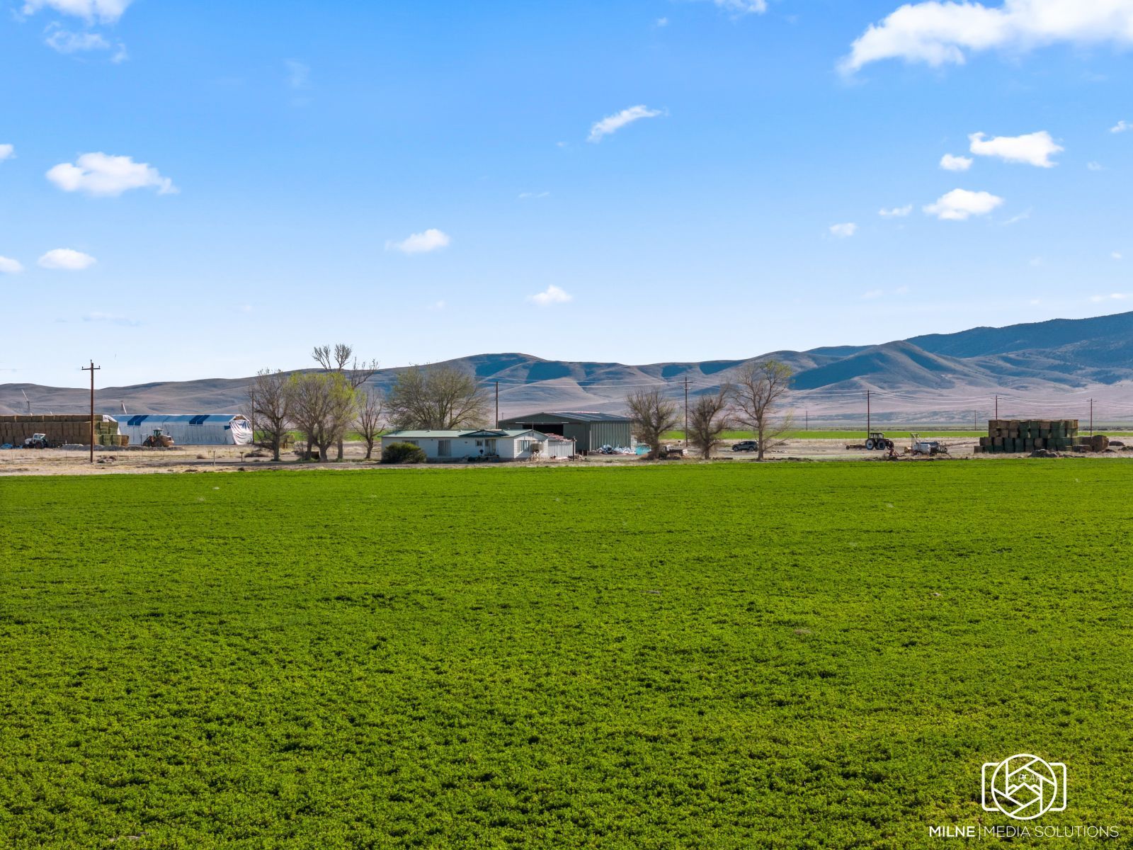 10105 Brides Well Road Property Photo 6