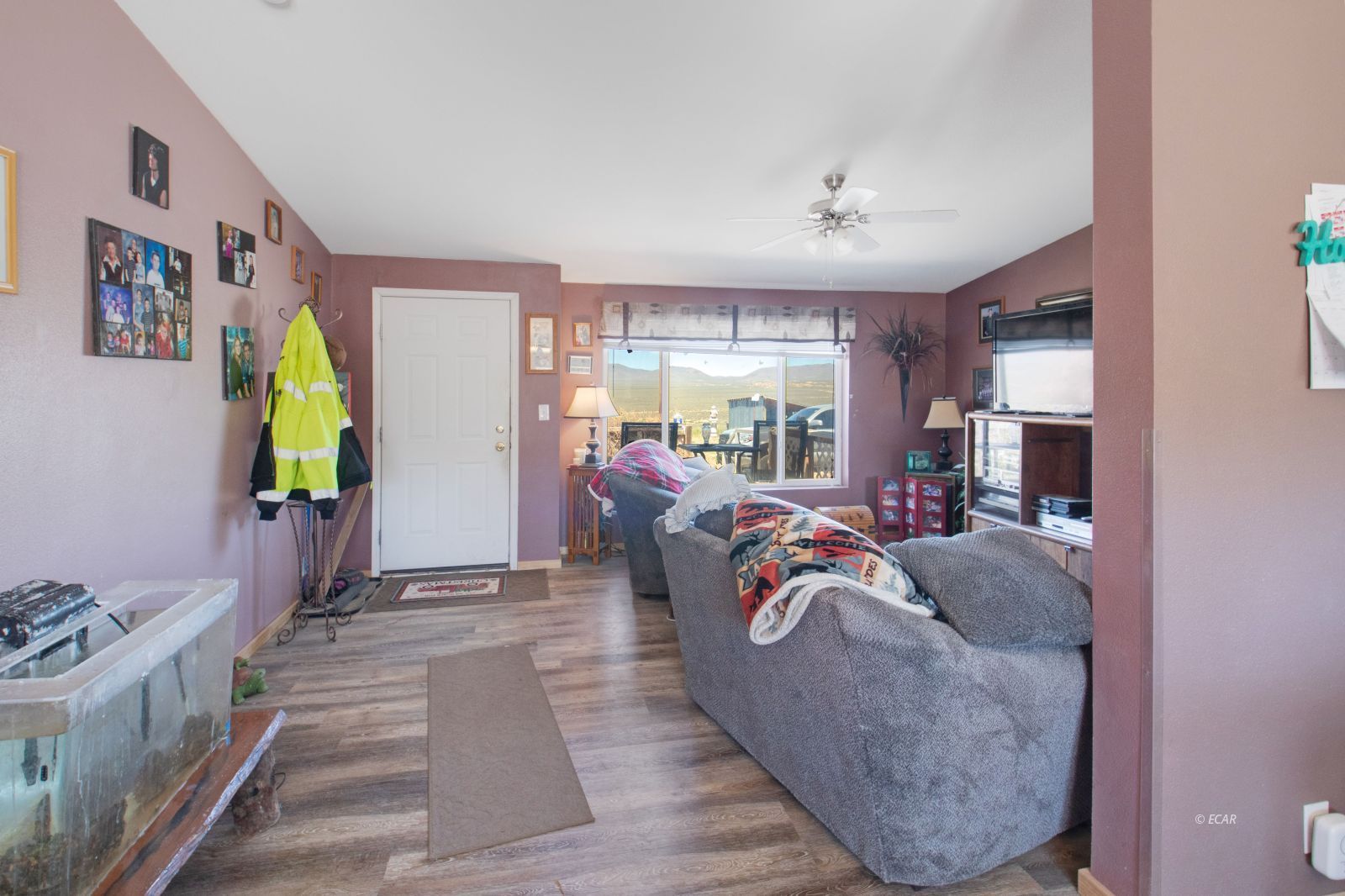 5436 Walnut Street Property Photo 5
