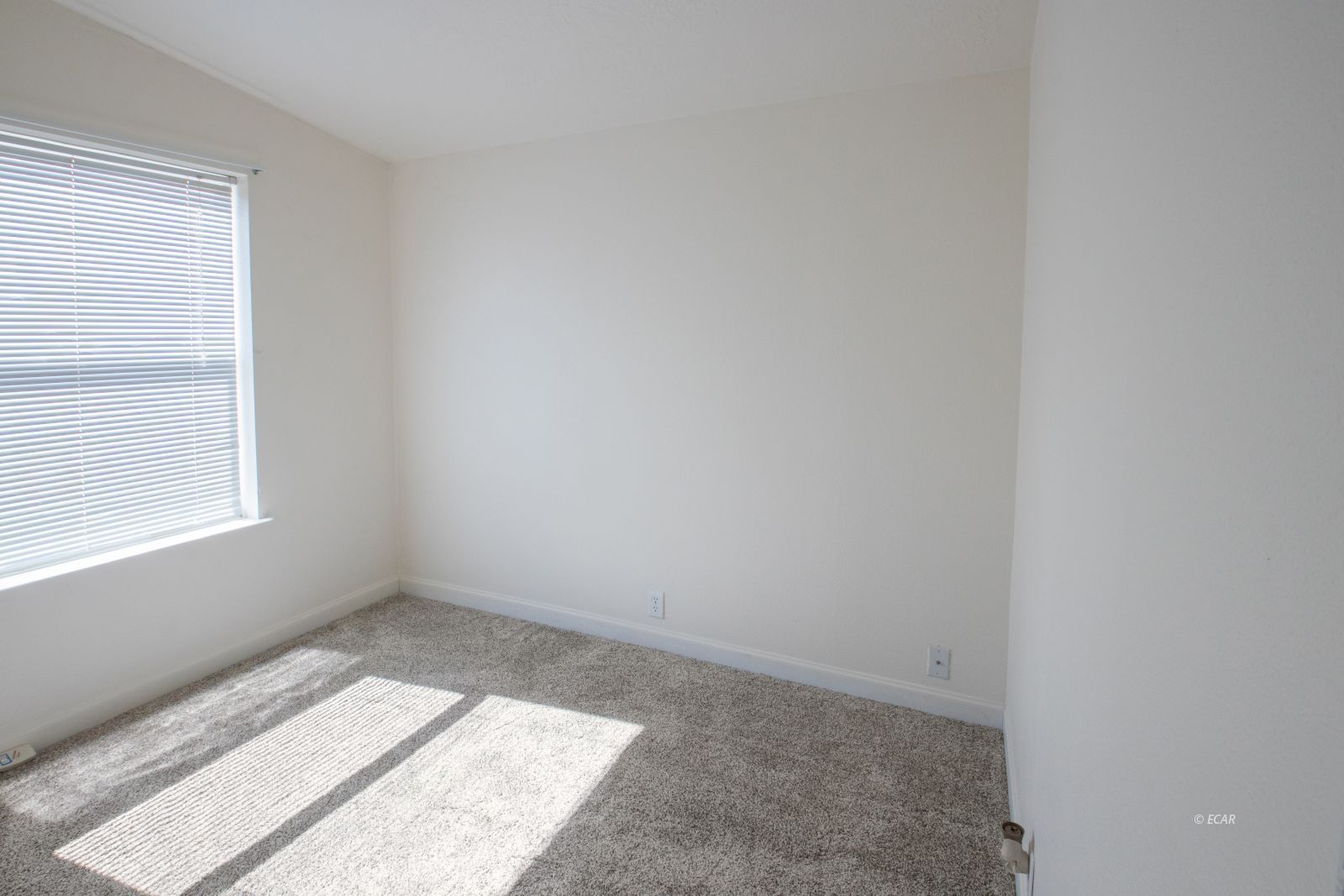 164 Martin Avenue Property Photo 18