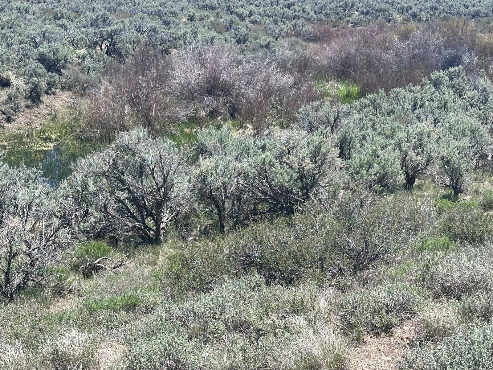 Tbd Mountain City Highway Property Photo 7