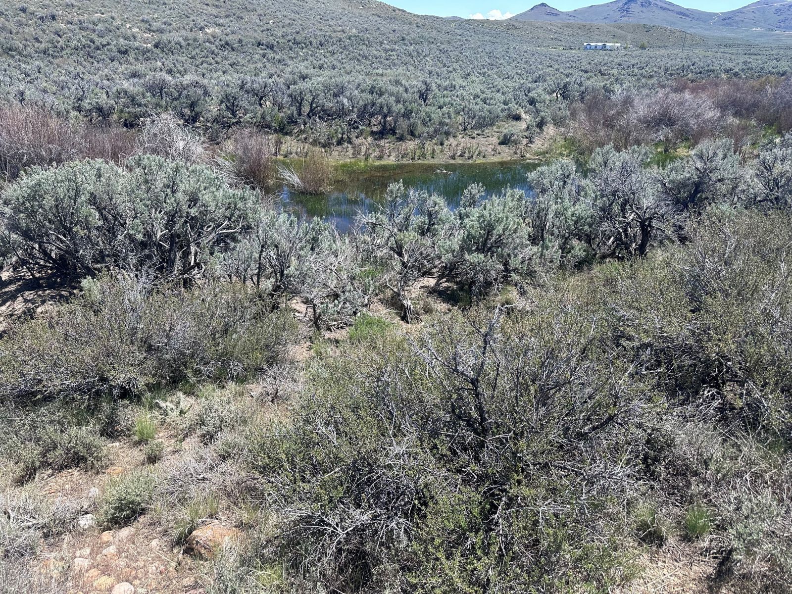 Tbd Mountain City Highway Property Photo 8