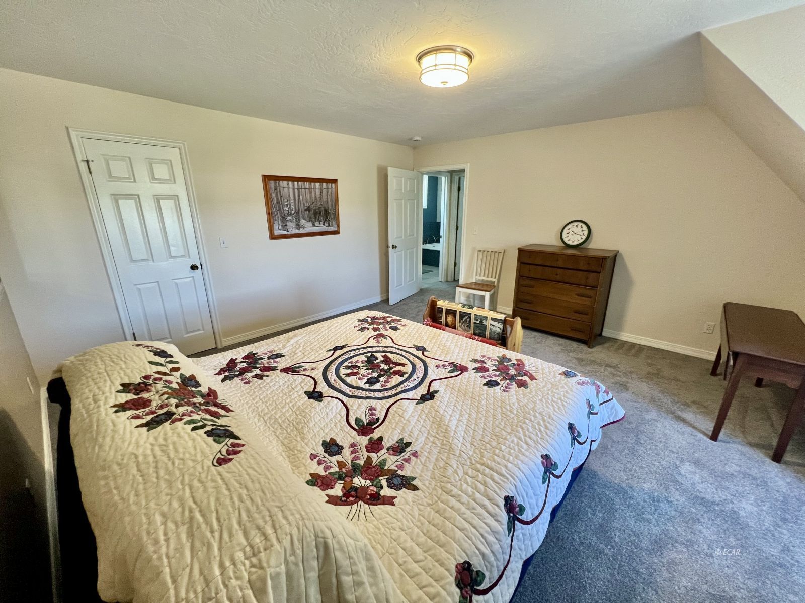 741 Spring Creek Parkway Property Photo 42