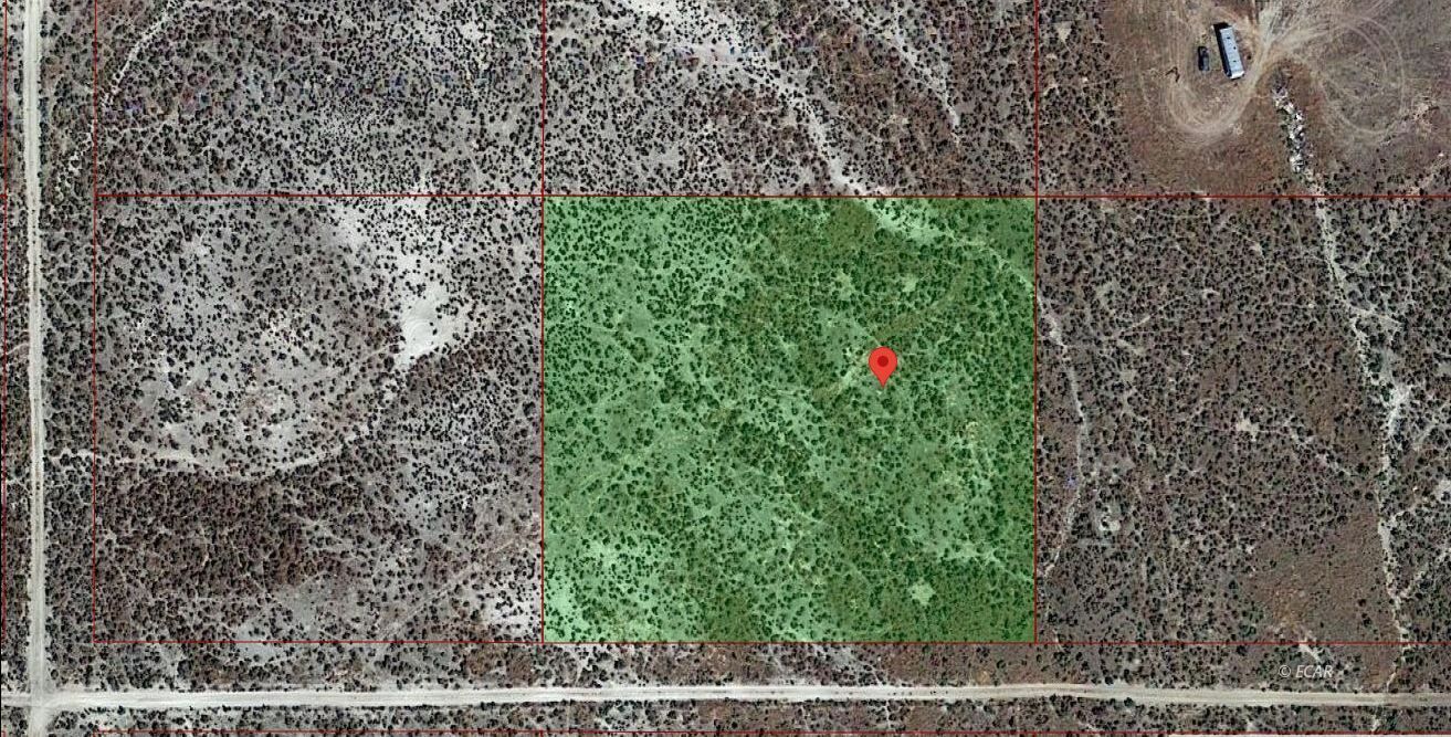 Tbd Jacinto Drive Property Photo 3