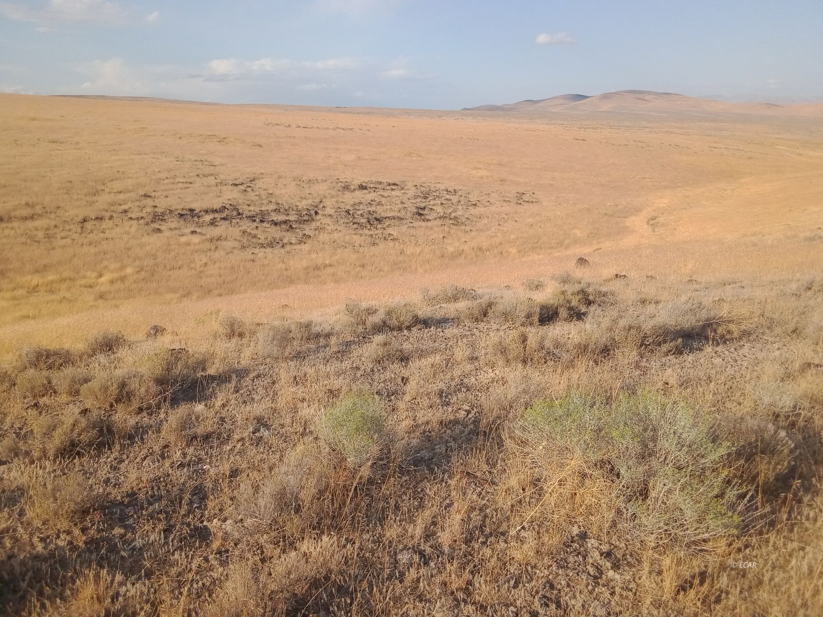 01055011 Battle Mountain Road Special Parcel Property Photo 2