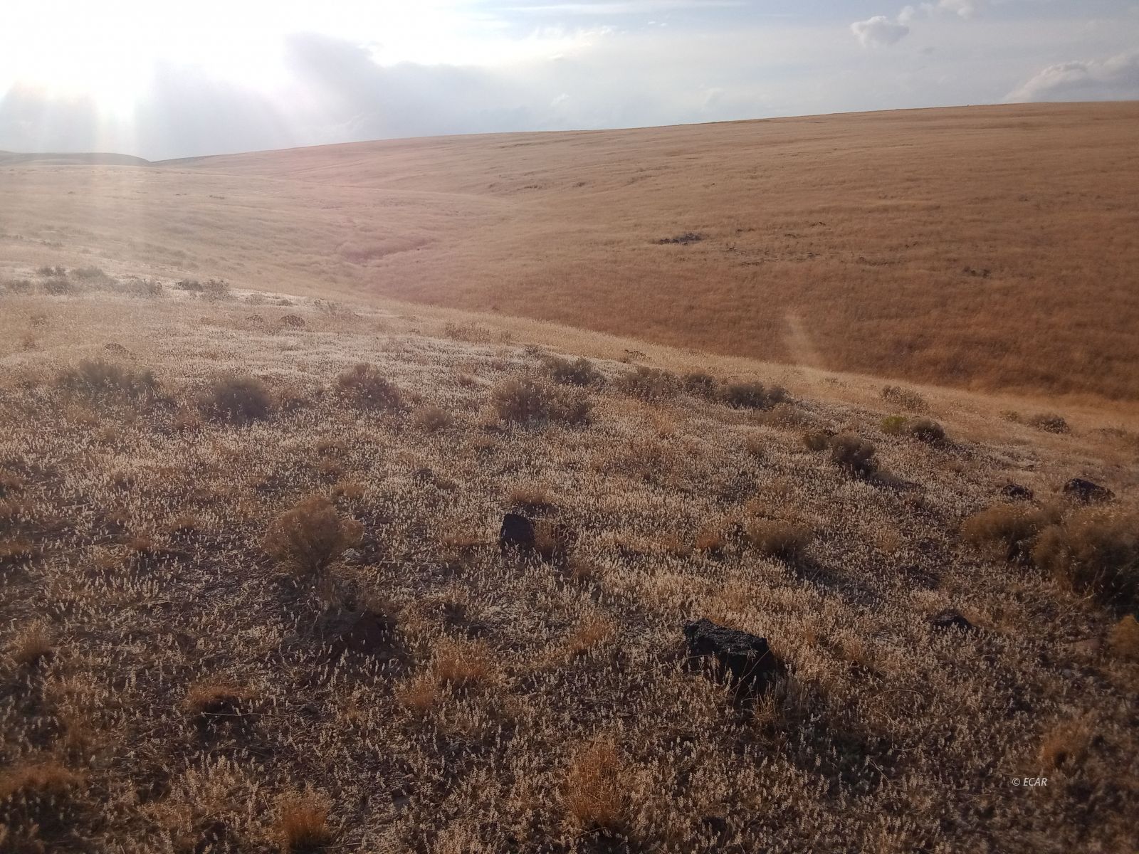 01055011 Battle Mountain Road Special Parcel Property Photo 3