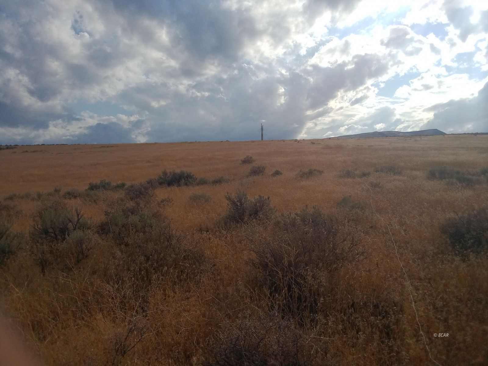 01055011 Battle Mountain Road Special Parcel Property Photo 5