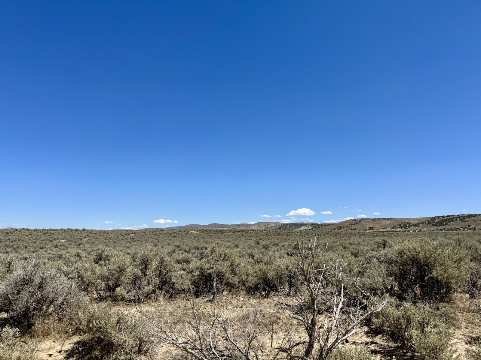 Tbd Blue Ridge Street Property Photo 3